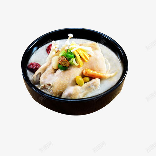 美食設計新焦點 老母雞湯免摳PNG素材，賦能餐飲與電商創(chuàng)意